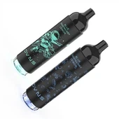 Flash Light LED Einnota 2500 Puffs
