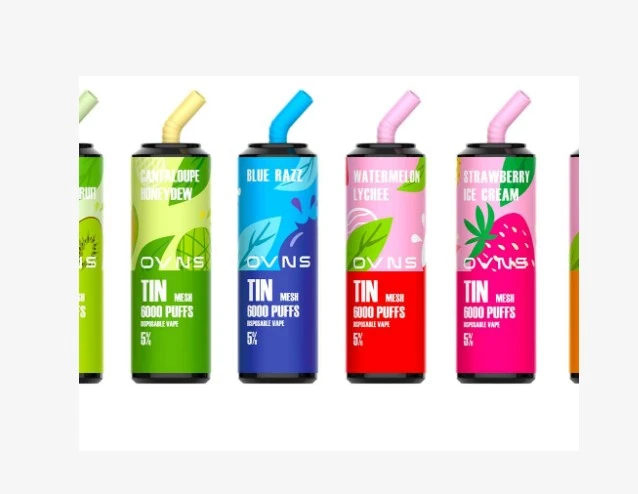 6000puffs Mesh Coil Type-C 600mAh Electronic Cigarette 6000puffs Mesh Coil Type-C 600mAh Electronic Cigarette
