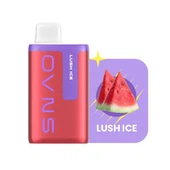 2024 Hot-selja vísir skjár 10000 puffs einnota vape