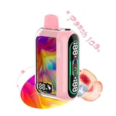 OVNS 25000 Puffs Einnota Vape